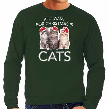 Kitten kerst sweater / outfit all i want for christmas is cats groen voor heren kopen