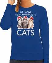Kitten kerst sweater outfit all i want for christmas is cats blauw voor dames