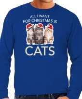 Kitten kerst sweater outfit all i want for christmas is cats blauw voor heren