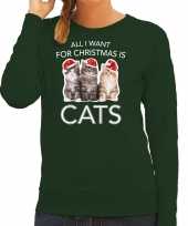 Kitten kerst sweater outfit all i want for christmas is cats groen voor dames