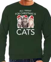 Kitten kerst sweater outfit all i want for christmas is cats groen voor heren