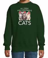 Kitten kerst sweater outfit all i want for christmas is cats groen voor kinderen