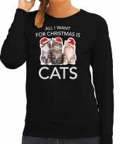 Kitten kerst sweater outfit all i want for christmas is cats zwart voor dames