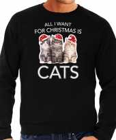 Kitten kerst sweater outfit all i want for christmas is cats zwart voor heren