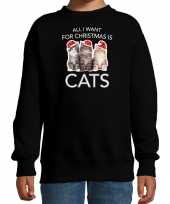 Kitten kerst sweater outfit all i want for christmas is cats zwart voor kinderen