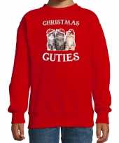 Kitten kerst sweater outfit christmas cuties rood voor kinderen